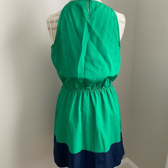Express Color Block Lined Dress with Pockets - Picture 6 of 9